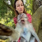 Sunayana Fozdar Instagram - Wanted to do a Day dump, But this moment deserved is single post ❤️🫶 Can’t wait to share the Behind the scenes of these pics… #staytuned #wildlifelover Spent a day At The Ubud Monkey forest @monkeyforestsanctuaryubud Loved the fact that animals are in their natural surroundings and the people visiting are given a long set of rules to follow which help in keeping the environment for the animals safe and protected 💕 #monkeyforestubudbali #monkeyforestbali #wildlife #posewithamonkey #wildlifeubud
