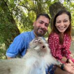 Sunayana Fozdar Instagram - Wanted to do a Day dump, But this moment deserved is single post ❤️🫶 Can’t wait to share the Behind the scenes of these pics… #staytuned #wildlifelover Spent a day At The Ubud Monkey forest @monkeyforestsanctuaryubud Loved the fact that animals are in their natural surroundings and the people visiting are given a long set of rules to follow which help in keeping the environment for the animals safe and protected 💕 #monkeyforestubudbali #monkeyforestbali #wildlife #posewithamonkey #wildlifeubud