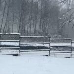 Sunil Grover Instagram - It’s snowing continuously, and beautiful all around. Having lots of fun. My friend told me this when he sent the video from Canada.