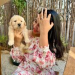 Swathi Deekshith Instagram - Zoro ❤️ 🐶 Naomi Patisserie