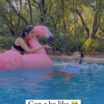 Tanya Sharma Instagram - Me lately 😂though I’m not gen z 🥲 #reels #funny #reelkarofeelkaro #reelitfeelit #tanyasharma #friends #trending #explorepage✨