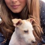 Tara Sutaria Instagram - Clearly did not wanna say hi.. 🐶 (Also, this is my pup voice. )