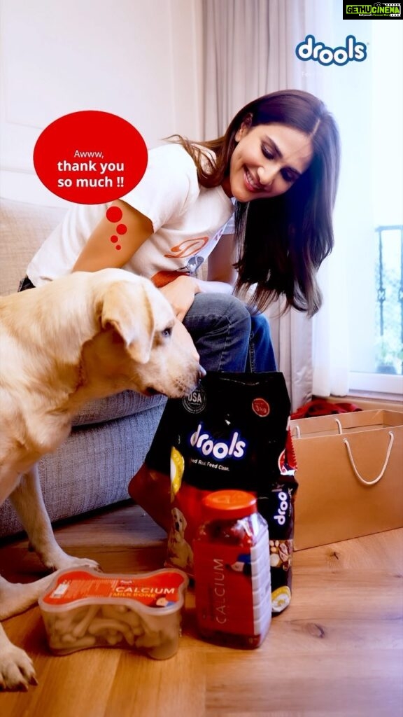 Vaani Kapoor Instagram - Spreading love & joy this Valentine’s Day with my PawPal! Get your favourite companion his favourite Drools food & treats! All while ensuring that he gets all the right ingredients & wholesome nutrition Feed Real, Feed Clean. Feed Drools 🐾🐾❤️ #droolsindia #petfood #pets #petnutrition
