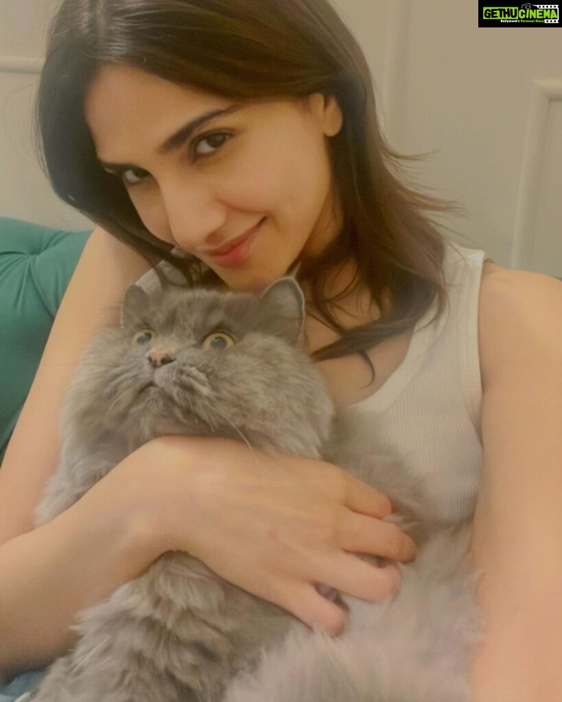 Vaani Kapoor Instagram - Don’t go by her face , she digs my hugs 🫠 #cathuglife