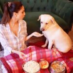 Vaani Kapoor Instagram – While stocking up on movie night munchies, don’t forget to grab the delicious oven-baked Drools Biscuits for your beloved pets! 
Not only are they the perfect treat but Drools Dog Biscuits are made with 100% Real Chicken, adding to a nutrient rich diet for your furry buddy! ❤️🍪

Drools – Feed Real Feed Clean