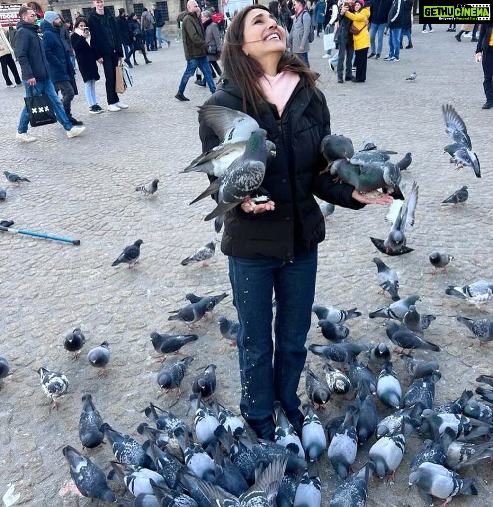 Vaani Kapoor Instagram - All birds in the hand.. none in the bush 🐦 #staycoo ✌️