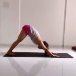 Vaibhavi Shandilya Instagram – Unite, Breathe, and Celebrate: Embracing the Essence of Yoga on International Yoga Day Mumbai, Maharashtra