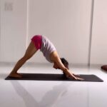 Vaibhavi Shandilya Instagram - Unite, Breathe, and Celebrate: Embracing the Essence of Yoga on International Yoga Day Mumbai, Maharashtra