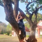 Vaishnavi Dhanraj Instagram - Climbing Trees since Childhood 🌳 #wildchild Shot by @hairnmakeupby_suman