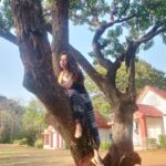 Vaishnavi Dhanraj Instagram - Climbing Trees since Childhood 🌳 #wildchild Shot by @hairnmakeupby_suman