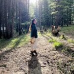 Veebha Anand Instagram - Chalo wapas!!😂🦋⛰️🤸‍♀️