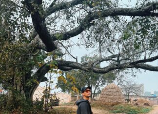 Vicky Kaushal Instagram - Mera Pind. All my childhood summer vacations were spent here… playing taash and cricket under the peepal tree. So much about this place has changed… but the warmth and sukoon I feel every time I’m back here, never changes!