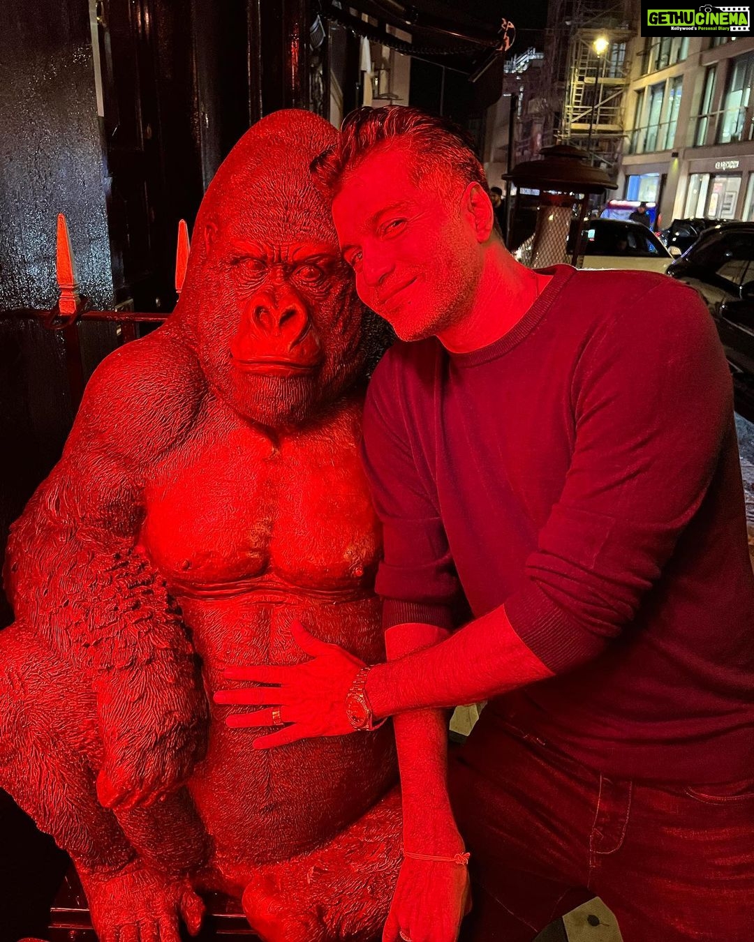 Vinay Rai Instagram - Monkey business😎. #actor #actorslife #vinayrai #tamilcinema #telugucinema #uk #halloween #dateforthenight #monkeysofinstagram Monkey House
