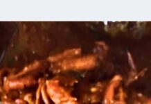 Abhirami Suresh Instagram - ♥️🥹♥️ countdown begins ♥️🥹♥️ . . #SeafoodBucket #UutopiayileRajavu #SeafoodRestaurant #Kochi #Waterfront #panangad #love #foodie #foodlovers #foodiekochi #eatkochieat #kochifood #kochigram #kochifoodie