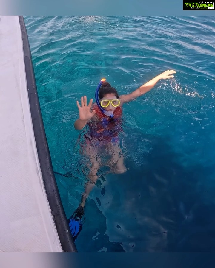 Aishwarya Sharma Bhatt Instagram - Maldivian Marine π @travelwithjourneylabel @velassarumaldives @immersion.glide Thankyou so much Aleks @tvoydiver for guiding us ππ»π #VelassaruMaldives #LuxuryUndressed #SmallLuxuryHotels #JourneyLabel #TravelWithJourneyLabel #YouAreSpecial #ThinkHolidayThinkJourneyLabel #LuxuryHoliday #maldives