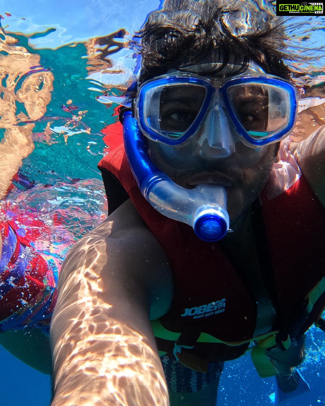 Aishwarya Sharma Bhatt Instagram - Maldivian Marine π @travelwithjourneylabel @velassarumaldives @immersion.glide Thankyou so much Aleks @tvoydiver for guiding us ππ»π #VelassaruMaldives #LuxuryUndressed #SmallLuxuryHotels #JourneyLabel #TravelWithJourneyLabel #YouAreSpecial #ThinkHolidayThinkJourneyLabel #LuxuryHoliday #maldives