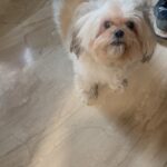 Akasa Instagram - mere camera roll mein bohot saman hai…. #dump • • • • • • #akasa #akasasingh #akasasing #akasakebesties #akasians #trending #love #fyp #explore #fashion #ootd #femininegoddess #trendingreels #naagin #shringaar #biggboss #thick #punjaban #trendingsongs #april