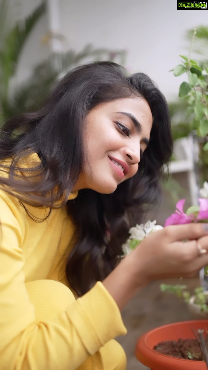 Alekhya Harika Instagram - My honest skincare regime is as simple as using my 5 favourite products to help me achieve bright, spotless and glowing skin. The Garnier Bright Complete Vitamin C Range @garnierindia is my go-to. I follow these simple steps in the morning using this range. Products used: The Garnier Bright Complete Vitamin C Micellar Water The Garnier Bright Complete Vitamin C Face wash The Garnier Bright Complete Vitamin C Serum The Garnier Bright Complete Vitamin C UV Cream The Garnier Bright Complete Vitamin C Sheet Mask #VitCFest #GarnierIndia #GarnierBrightCompleteVitaminCRange #SkincareRegime #ad #reels #trending #reelitfeelit