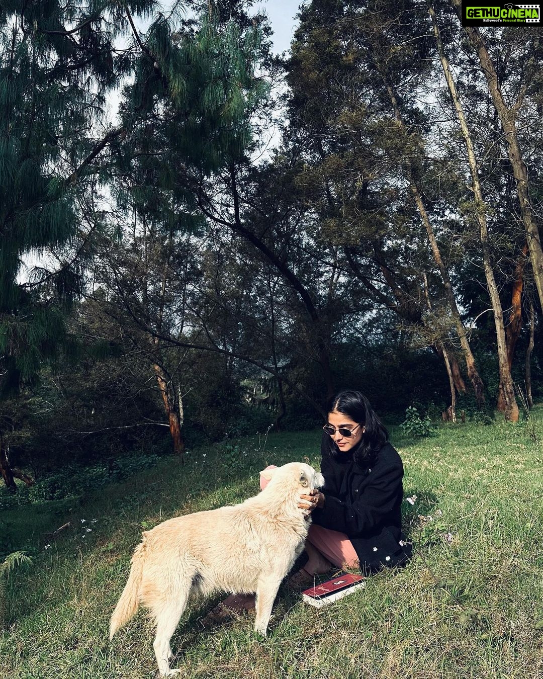 Anaswara Rajan Instagram - Lost in my fantasy β¨πΆπ Kodaikanal- Princess of Hills