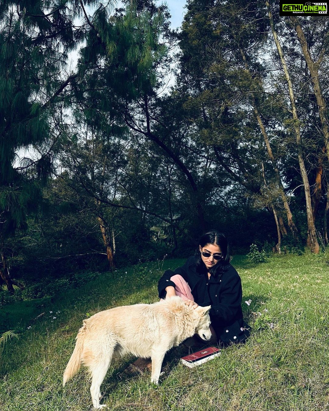 Anaswara Rajan Instagram - Lost in my fantasy β¨πΆπ Kodaikanal- Princess of Hills