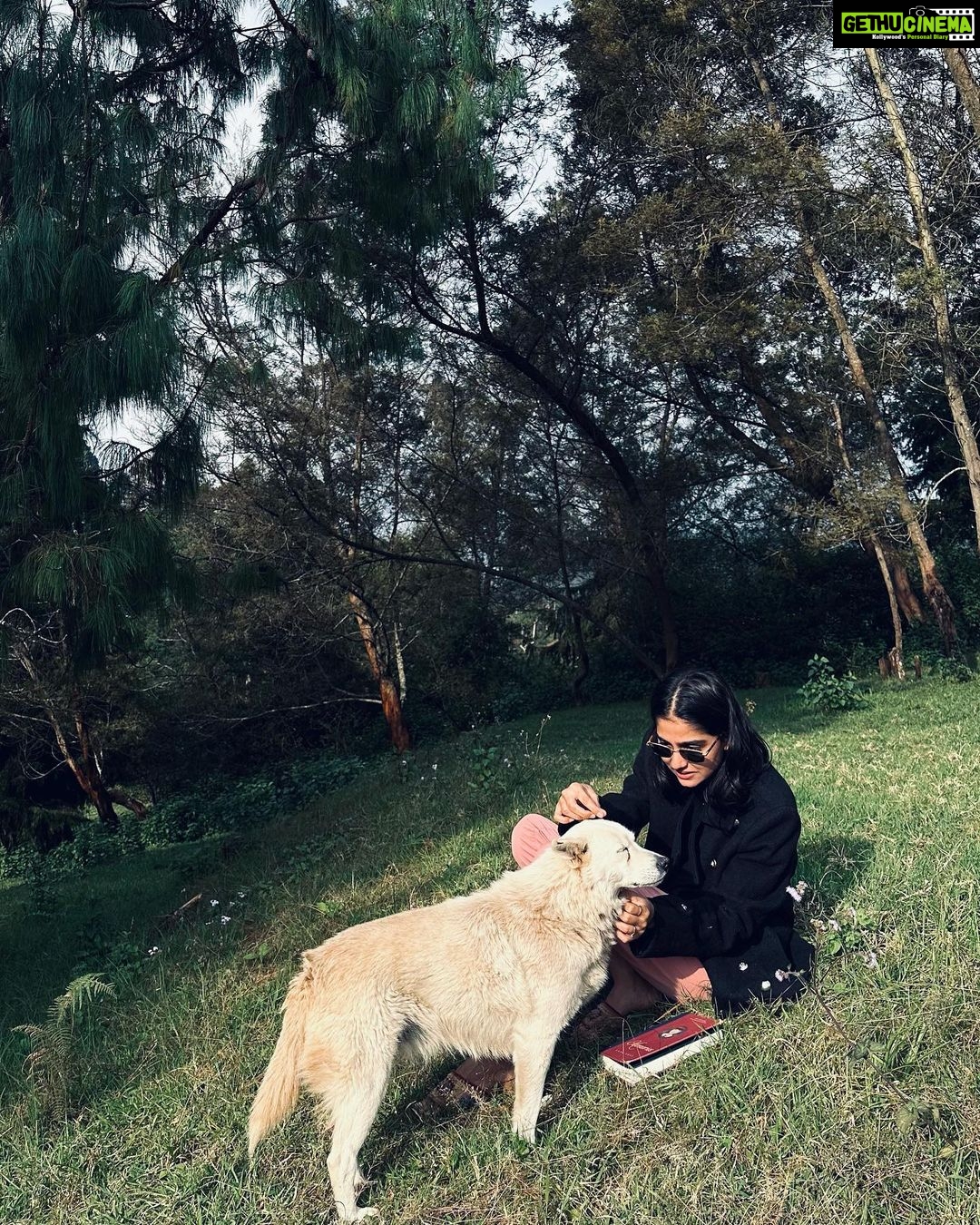 Anaswara Rajan Instagram - Lost in my fantasy β¨πΆπ Kodaikanal- Princess of Hills