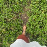 Anaswara Rajan Instagram – അലസമലസമായ്…… Wayanad വയനാട്