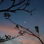 Anaswara Rajan Instagram - The sky, sunset and the moon 🌙✨