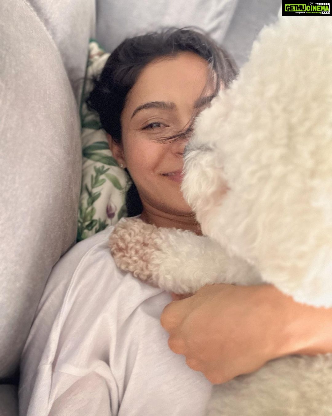 Andrea Jeremiah Instagram - My boy turns 3 today💖💖💖 I cannot begin to describe the many ways in which @jonsnow.bichon has changed my life since he pawed his way into my heart in 2020 🐾 Love comes in all shapes, forms & sizes, but none as cute as this bratty Bichon 🥰🥰🥰 Thank you Jon snow for being you ❤️ I’m forever grateful that you chose me to be your human mommy 🥹💕✨ #jonsnow #snowinchennai #bichon #dogsofinsta #birthdayboy #july4th