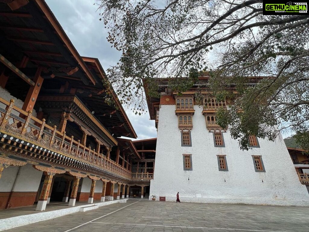 Andrea Jeremiah Instagram - The magnificent #punakhadzong !!! It is the second oldest & second largest #dzong in Bhutan… situated between two rivers & surrounded by gorgeous jacaranda blossoms, it’s quite a sight to behold 💜💜💜 @gtholidays.in #bhutan #punakha #solotravel #gtholidays #shotoniphone