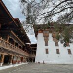 Andrea Jeremiah Instagram - The magnificent #punakhadzong !!! It is the second oldest & second largest #dzong in Bhutan… situated between two rivers & surrounded by gorgeous jacaranda blossoms, it’s quite a sight to behold 💜💜💜 @gtholidays.in #bhutan #punakha #solotravel #gtholidays #shotoniphone
