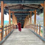 Andrea Jeremiah Instagram - The magnificent #punakhadzong !!! It is the second oldest & second largest #dzong in Bhutan… situated between two rivers & surrounded by gorgeous jacaranda blossoms, it’s quite a sight to behold 💜💜💜 @gtholidays.in #bhutan #punakha #solotravel #gtholidays #shotoniphone
