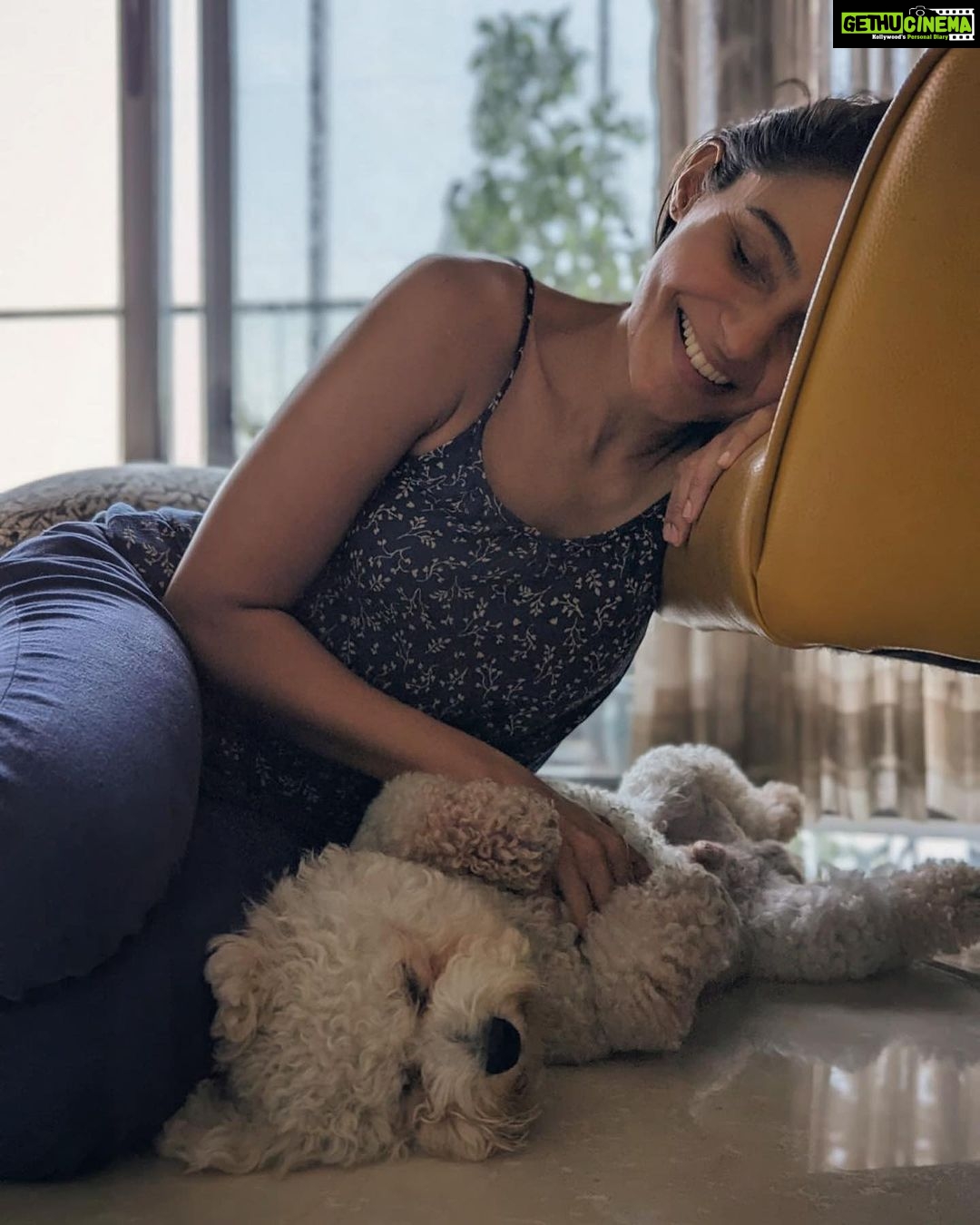 Andrea Jeremiah Instagram - My boy turns 3 today💖💖💖 I cannot begin to describe the many ways in which @jonsnow.bichon has changed my life since he pawed his way into my heart in 2020 🐾 Love comes in all shapes, forms & sizes, but none as cute as this bratty Bichon 🥰🥰🥰 Thank you Jon snow for being you ❤️ I’m forever grateful that you chose me to be your human mommy 🥹💕✨ #jonsnow #snowinchennai #bichon #dogsofinsta #birthdayboy #july4th