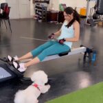 Andrea Jeremiah Instagram – It’s #takeyourdogtoworkday 🐶🐶🐶 

#mondaymotivation with my main squeeze @jonsnow.bichon 💕 

Thanks @thetraininglab.in for being nice about this 😀😀😀 

#reels #reelsinstagram #dogsofinstagram