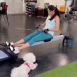 Andrea Jeremiah Instagram - It’s #takeyourdogtoworkday 🐶🐶🐶 #mondaymotivation with my main squeeze @jonsnow.bichon 💕 Thanks @thetraininglab.in for being nice about this 😀😀😀 #reels #reelsinstagram #dogsofinstagram