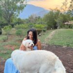 Andrea Jeremiah Instagram - From #dubai to #dindigul… the week that was ☀️🐶💕🐮