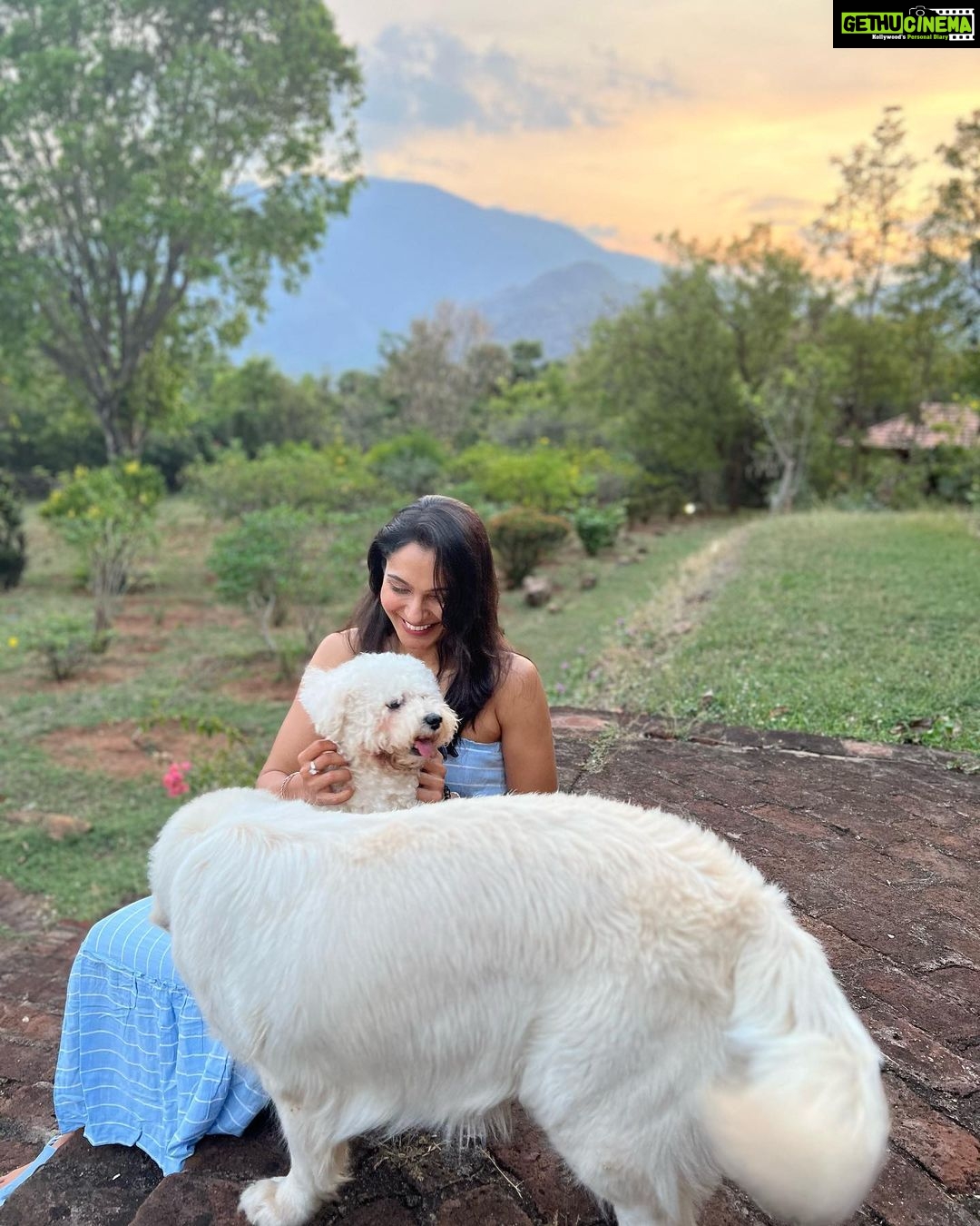 Andrea Jeremiah Instagram - From #dubai to #dindigul… the week that was ☀️🐶💕🐮