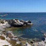 Andrea Jeremiah Instagram - The week that was 🇦🇺☀️🏝️ #australia #westernaustralia #WAthedreamstate #perth #rottnestisland #quokka #travel #thejeremiahproject #tamil #music #band #gig
