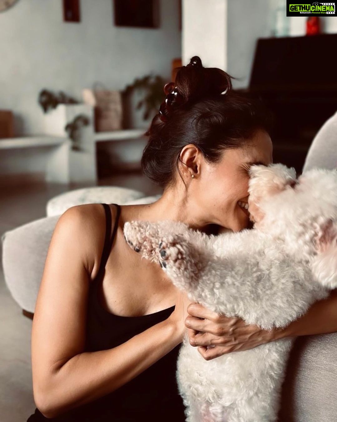 Andrea Jeremiah Instagram - Home with my homie 💕