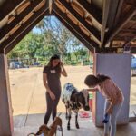 Andrea Jeremiah Instagram - Conversations with a 🐐 #thefarmlife