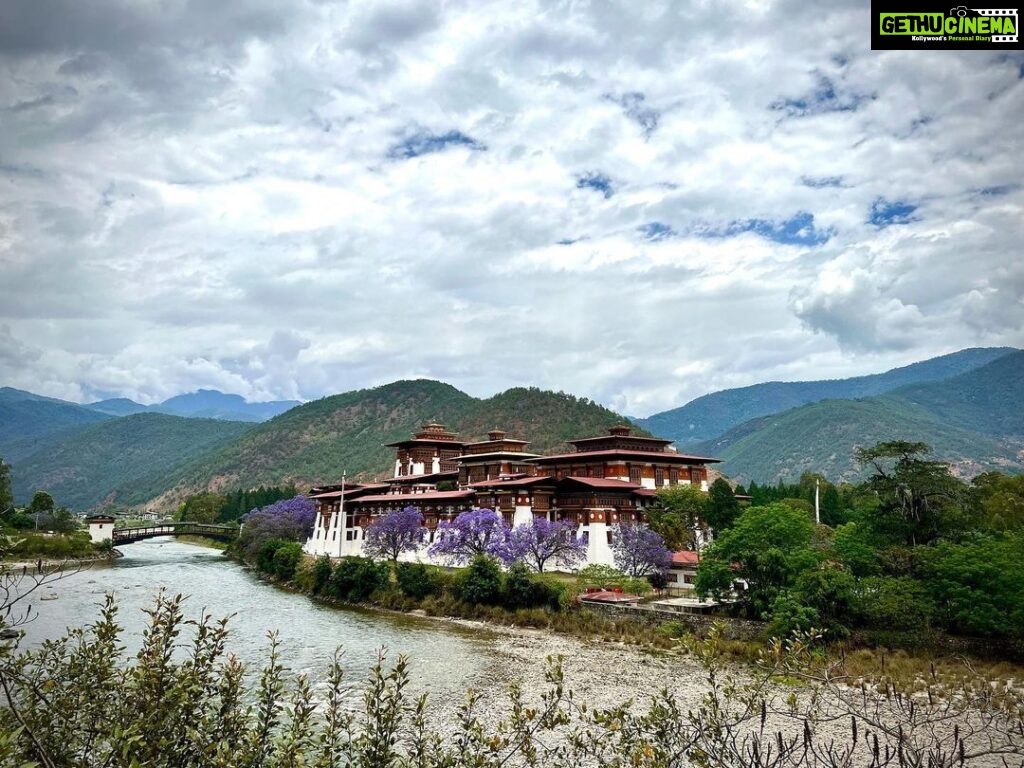 Andrea Jeremiah Instagram - The magnificent #punakhadzong !!! It is the second oldest & second largest #dzong in Bhutan… situated between two rivers & surrounded by gorgeous jacaranda blossoms, it’s quite a sight to behold 💜💜💜 @gtholidays.in #bhutan #punakha #solotravel #gtholidays #shotoniphone