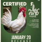 Antony Varghese Instagram – Clean ‘U’ Certificate!!!

Poovan is a 100% entertainer for all ages

Experience and Enjoy in theaters from January 20, 2023

@poovan_movie 🐓

#poovan #poovanMovie #shebinbacker #shebinbackerproductions
#girishAD #Stuckcows #AntonyVarghese #Pepe #vineethVasudevan #malayalamMovie #SonyMusic #snakeplant #comingSoon