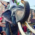 Antony Varghese Instagram – ഉണ്ണികൃഷ്ണന് വിട…. അജഗജാന്തരം ഇത്ര മികച്ചതാക്കാൻ കൂടെനിന്ന  ഞങ്ങളുടെ സ്വന്തം പാർത്ഥൻ ..