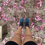 Anurita Jha Instagram – How beautiful is a city  with all it’s green’s, lakes and parks …

Only if we understood the value of walking , running and cycling .
Most of our physical and mental health issues would be healed.. 

Running gives me an opportunity to wake up way early and explore a new place in its calmer vibe.. 

Loved  Banglore’s Cubbon park… could only explore a few sections , yet i am in love and would go back and run there soon and make friends .. 🌸🍃🌱🎶🐦‍⬛🌏
.
.
.
.
.
.
.
.
.
.
.
.
.

.
.
.
.
.
.
.
.
.
.
#instagood #instalove #runner #traveller #treehugger #nature #naturelovers #anurittakjha Cubbon Park, Bangalore