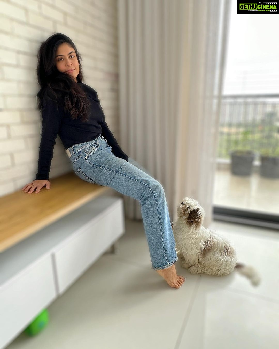 Anurita Jha Instagram - They do know their ways… I wish i had that puppy eyes to make everyone do what i wanted 🥹🥹🥹😛🐶🐶🌼 . . . . . . . . . . . . . . . . . . . . #insta #instagram #instalove #instagood #instadaily #instafashion #instamood #puppylove #puppy #babies #cutness #purelove #innocent #leobaby #anurittakjha