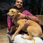 Ashok Selvan Instagram - A moment of absolute love. Blessed are those who have pets at home. 🐕 இனிய தமிழ் புத்தாண்டு நல்வாழ்த்துக்கள்! 💥 Ellavarkum hridayam niranja vishu ashamsakal! 💥 #Gold #Kombai