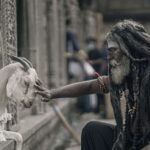 Ashwin Kakumanu Instagram - Life in between set breaks. #ponniyinselvan2 #photography #actors #goatsofinstagram #hobby #actorslife #shootlife