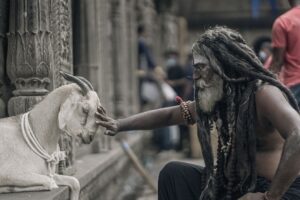Ashwin Kakumanu Instagram - Life in between set breaks. #ponniyinselvan2 #photography #actors #goatsofinstagram #hobby #actorslife #shootlife