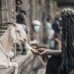 Ashwin Kakumanu Instagram – Life in between set breaks. #ponniyinselvan2 #photography #actors #goatsofinstagram #hobby #actorslife #shootlife