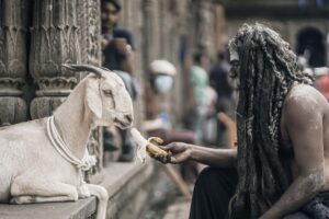 Ashwin Kakumanu Instagram - Life in between set breaks. #ponniyinselvan2 #photography #actors #goatsofinstagram #hobby #actorslife #shootlife