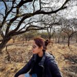 Asmita Sood Instagram – Only those who will risk going too far can possibly find out how far they can go. 🌿 #intothewild #gir #woodsatsasan #weekendtrip #girforestnationalpark #asmitten Gir
